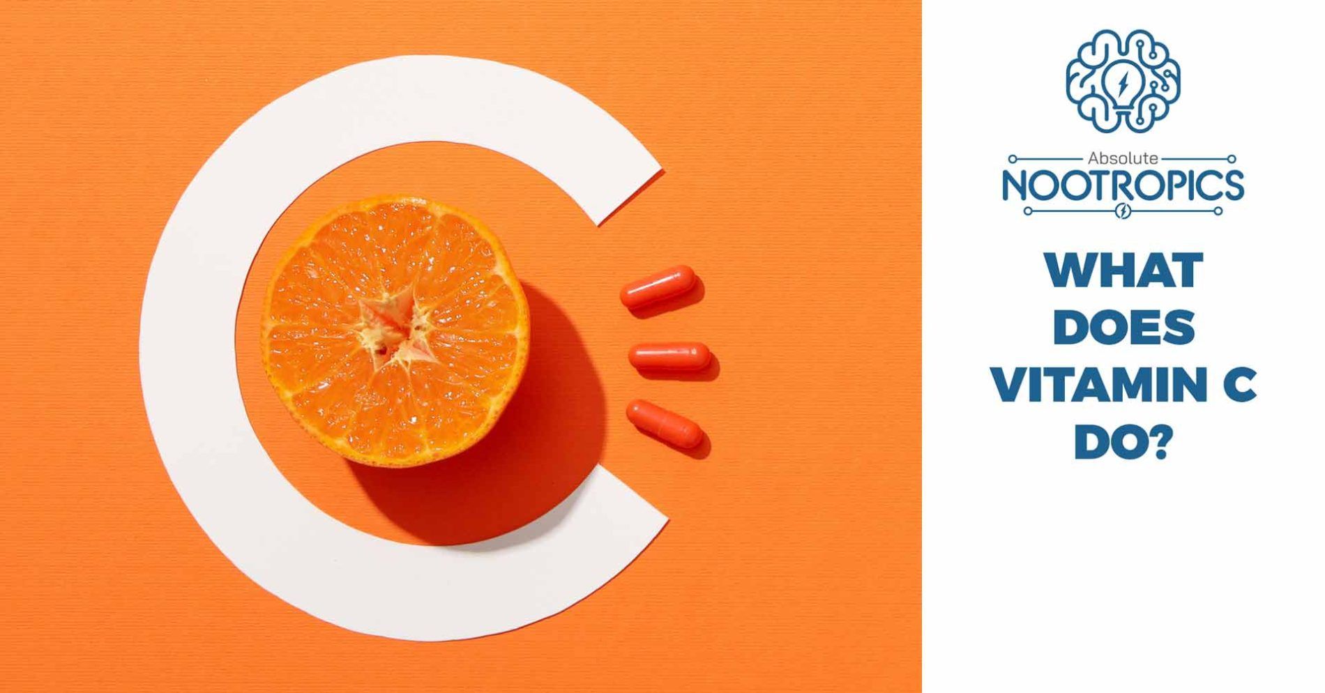what does vitamin c do