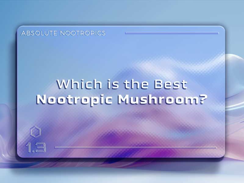 Which is the Best Nootropic Mushroom?
